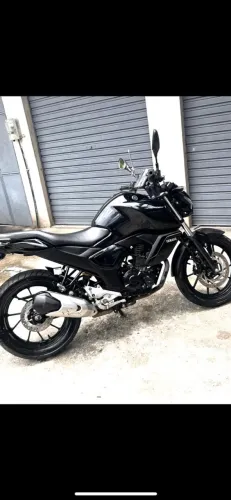 Fz15 2023