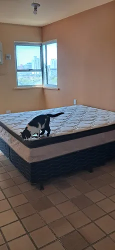 Cama Box Casal Queen