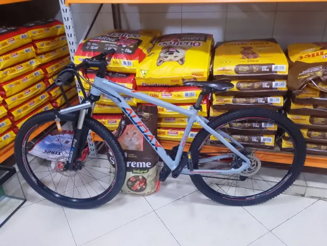 Bicicleta Audax adx 100