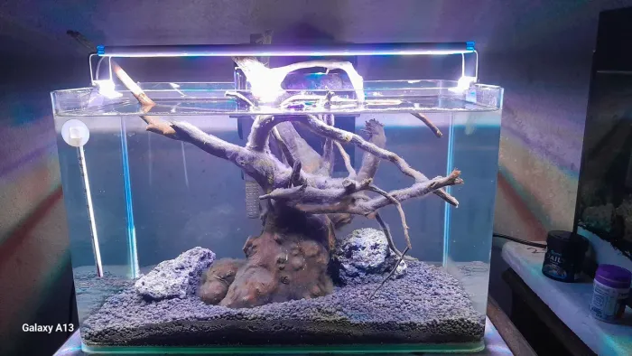 Aquario ocean tech 