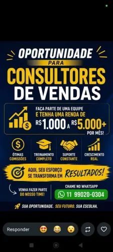 CONSULTOR DE VENDAS - HOME OFFICE