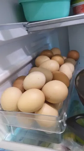 Ovos de Galinha Caipirão