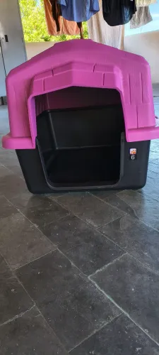 Kit de utensílios para cachorro
