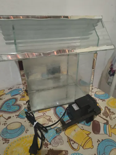 AQUÁRIO CASINHA ?