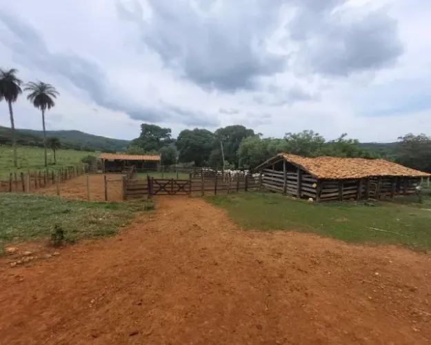 Fazenda 1.512 há, casa sede e de caseiro, nascentes, com acesso ao rio cipó.