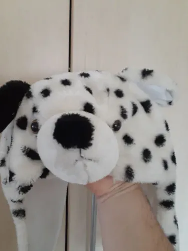 Toca de cachorrinho 