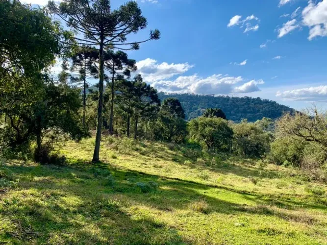 Linda chácara de altitude a venda em Urubici -SC, Rio Vacariano
