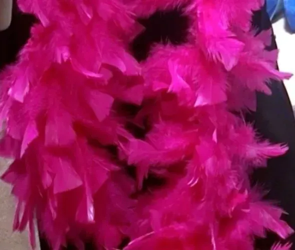 Vendo festa fantasia poa de penas natural 