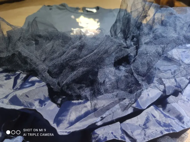 Fantasia Elsa Frozen de tule azul marinho!