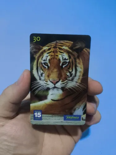 CARTÃO TELEFÔNICO TIGRE - 2001