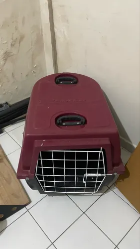 Caixa transporte porte médio/grande