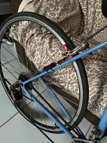Bicicleta speed