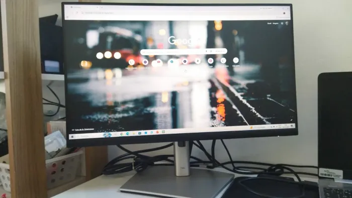 Tela Dell monitor 21PL