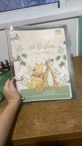 Fichário universitário Ursinho Pooh 