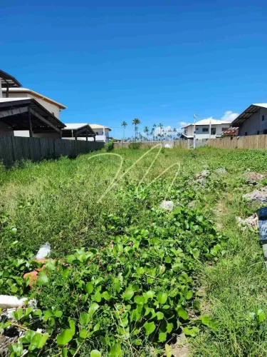 Lote pé na areia