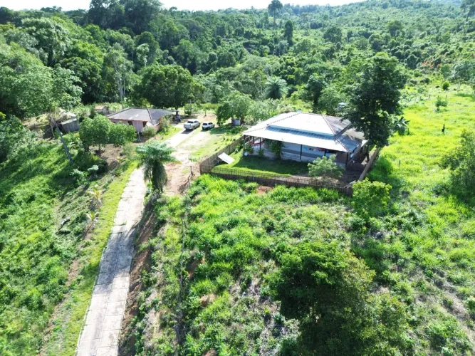 FAZENDA NA ESTRADA DE ALTER DO CHAO OPORTUNIDADE