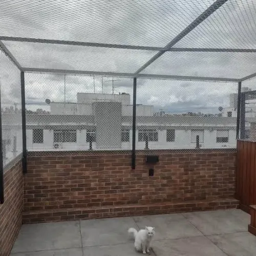 Gatil com estrutura e cobertura em rede para terraço