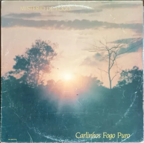 Lp Disco de Vinil Gospel Evangélico Carlinhos Fogo Puro - Ministério De Fogo
