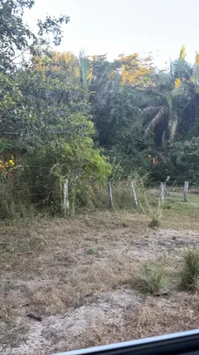 Vendo Área para Reserva no Goiás!!!