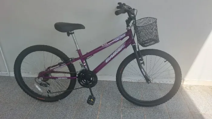 Bicicleta Aro 24, feminina