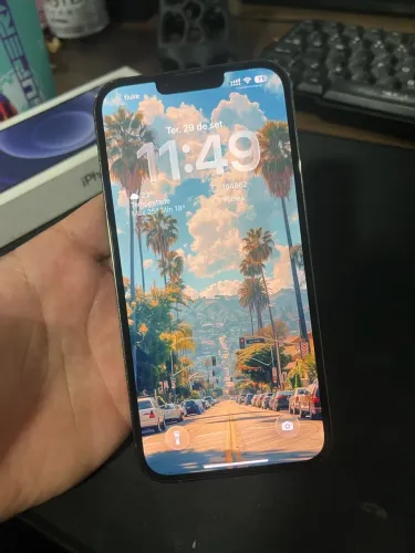 iPhone 13 Pro Max