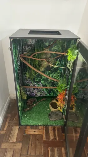 Terrário NÃO ABAIXO O VALOR, completo e conservado