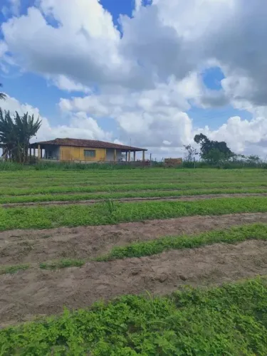 Excelente granja com 17 hectares bem localizada entre Parnamirim e Monte Alegre
