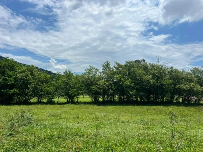 Terreno em loteamento no Ribeirão da Ilha