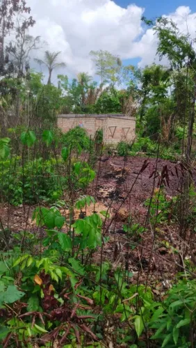 Vende-se chácara vicinal Rio Branco 