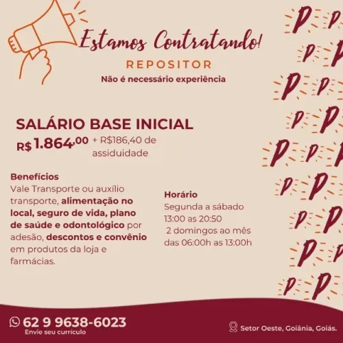 Repositor - padaria