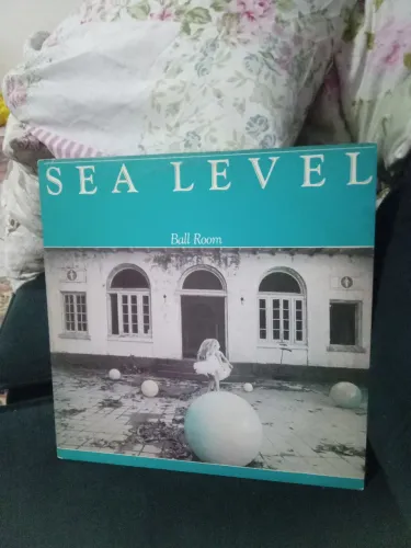 LP disco vinil Sea Level Ball Room Rock 70 / 80
