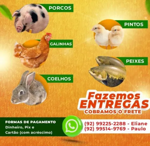 Galinhas Caipiras