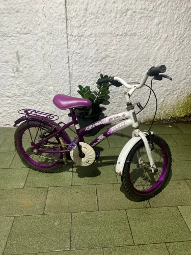 Bicicletinha 