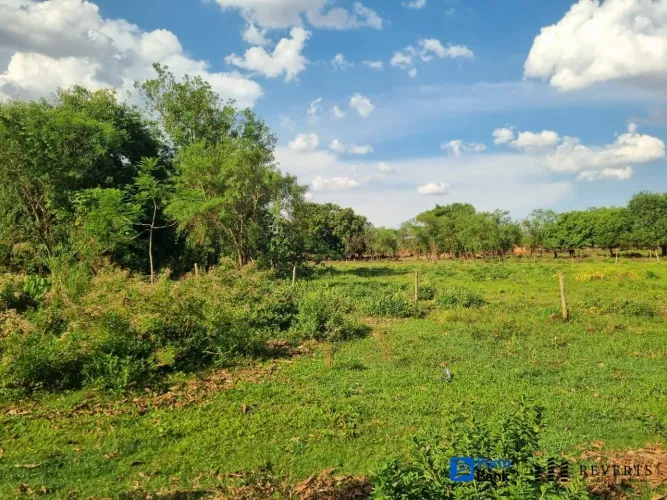 Terreno à venda Setor Suleste Cachoeira Dourada/GO