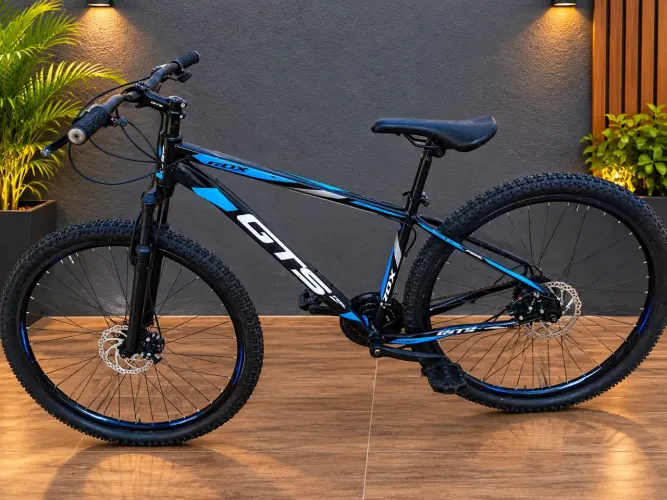 Bicicleta aro 29