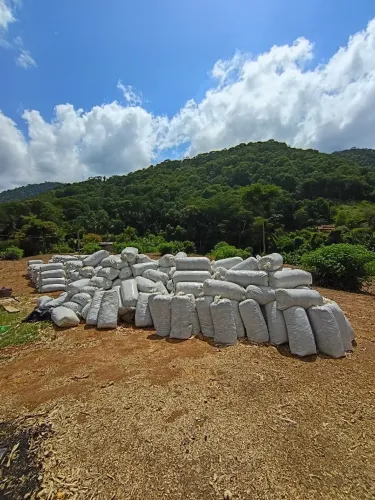 Venda de silagem de milho "Leia atentamente a descrição do produto"