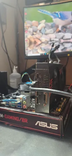 Placa de video