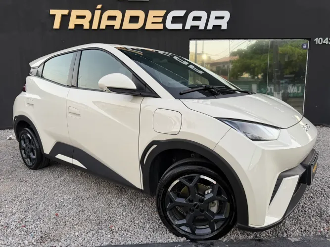 BYD Dolphin Mini (Elétrico) 2027