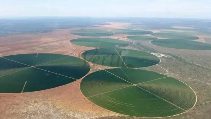 Fazenda à venda, Oeste de Minas Gerais , 2050 hectares, Produtora de Café - MG