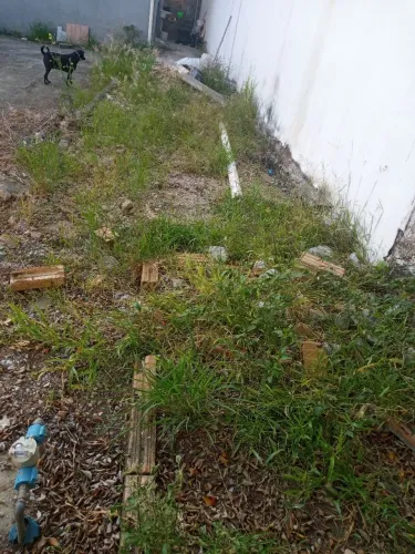 Faço serviços de limpeza de lotes quintal galpão resto de obras pintura de muros lojas 