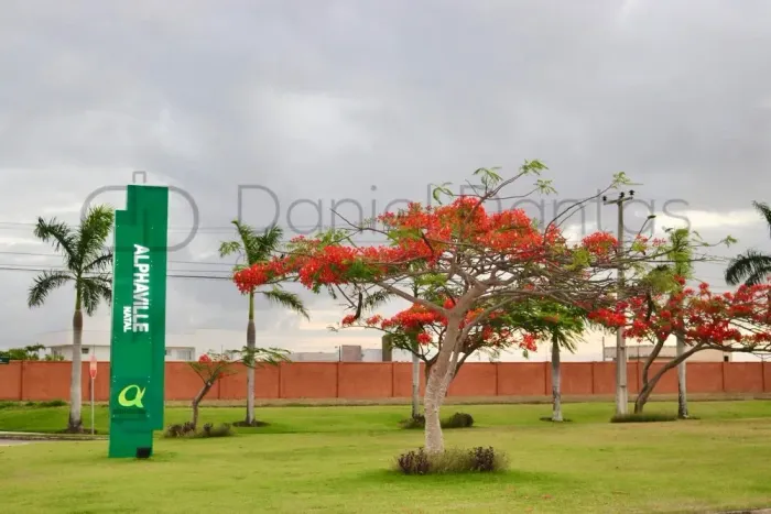 Lotes Alphaville Pium Ou Catuana