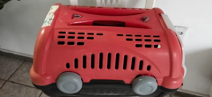 Pra seu pet