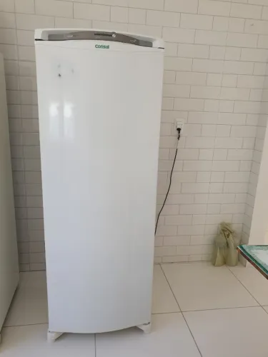 A Geladeira Consul Frost Free de 337 litros.