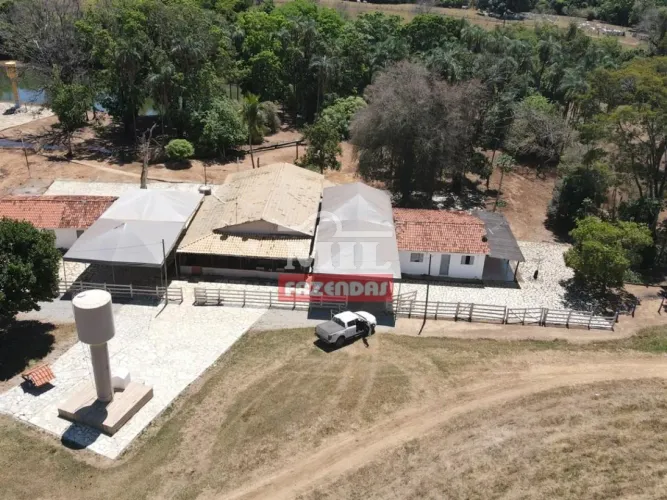 Fazenda 80 Alqueires (387,20 Hectares) Cocalzinho - GO