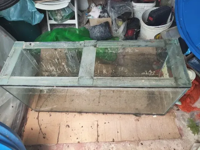 Aquário de 217 Litros 124*35*50cm Vidro de 8mm