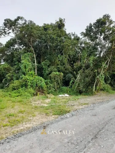 Terreno em Praia de Leste Proximo ao Bavaresco