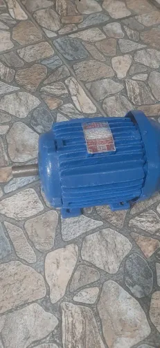 Motor Weg trifásico 