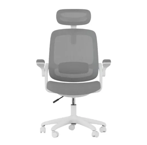 Cadeira Ergônomica Elements Astra (NA CAIXA)