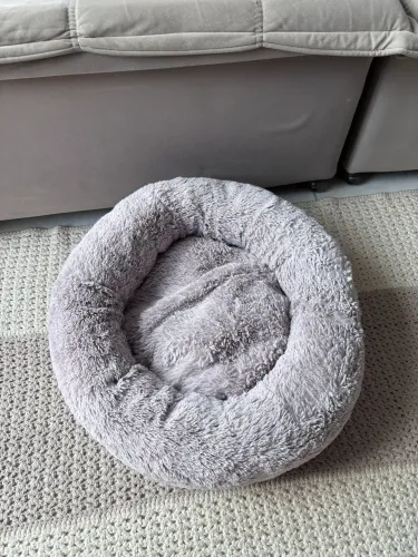 Cama para Pet