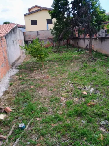 Terreno plano à venda/ 294 m²/ Oportunidade/ Ac. Av. São Paulo/ Só R$ 235 mil